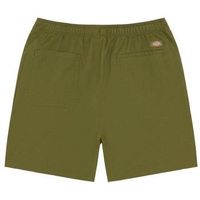 dickies short dk0a4xb2k721 para hombre