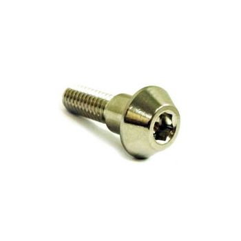 Tornillo de fijación del disco de freno M6x1 20mm inox gris