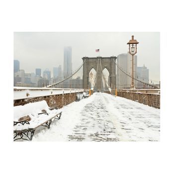 Papel Pintado 3d - Puente Nuevayorke?o Cubierto Por Nieve (250x193 Cm)