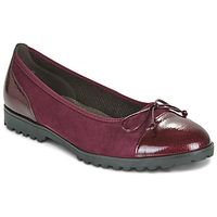 gabor bailarinas 3007 para mujer