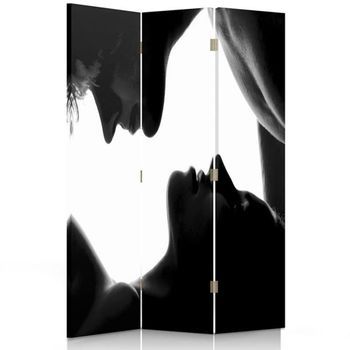 Biombo First Kiss - Separador De Ambientes Cm. 110x150 (3 Paneles)