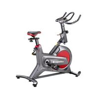 bicicleta de spinning insportline agneto 20070 gris