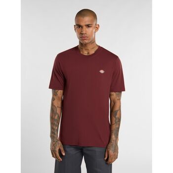 Dickies Camiseta MAPLETON TEE SS DK0A4XDB-L161 ANDORRA para hombre