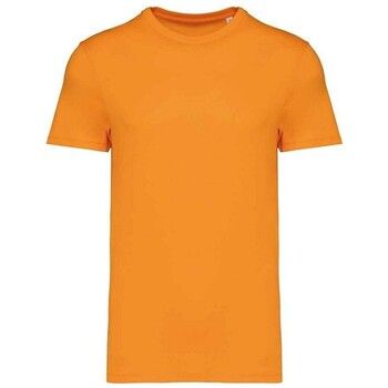 Native Spirit Camiseta NS305 para hombre