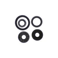 kit de retenes husqvarna 511 ie athena
