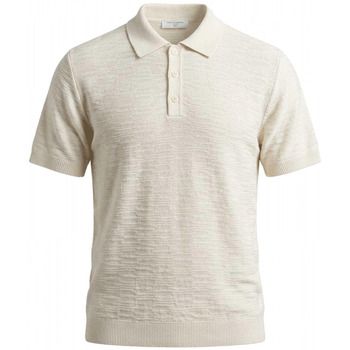 Daniele Fiesoli Polo 4095-100 ECRU para hombre