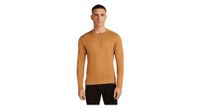 camiseta interior hombre icebreaker merino 260 tech marron