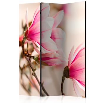 Biombo - Branch Of Magnolia Tree (135x172 Cm)