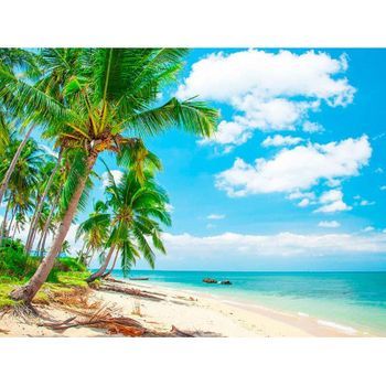 Fotomural Vinilo Playa Palmeras 350 X 250 Cm