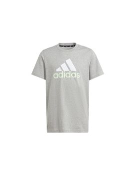 Camiseta adidas Big Logo 2 Infantil Gris