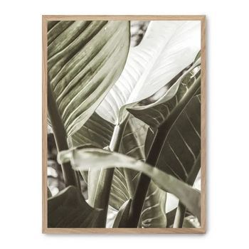 Cuadro Details Of Banana Leaves Ii