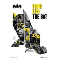 erik maxi poster dc comics 80 aniversario batman 915x61cm
