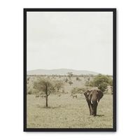 cuadro elephant in the savana ii