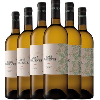 José Pariente Vino Blanco Sauvignon Blanc Do Rueda D.o. Rueda 75 Cl 13 % Pack 6 Botellas