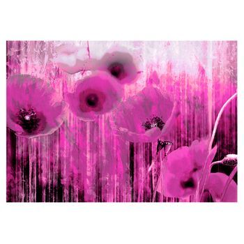 Papel Pintado 3d - Pink Madness (350x245 Cm)