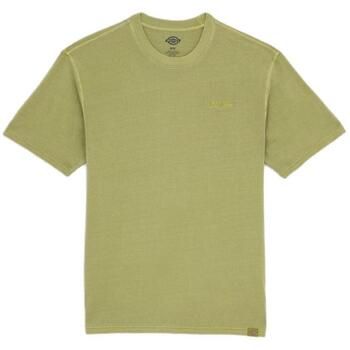 Dickies Camiseta DK0A866BL201 para hombre