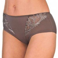 passion full coverage briefs