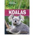 koalas saved+cdr 2600
