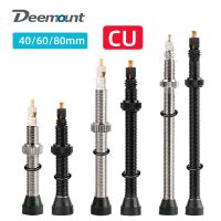 2 uds valvulas presta bicicleta tubeless llanta pezones fv 406080mm boquilla nucleo de laton vastago de laton base redonda