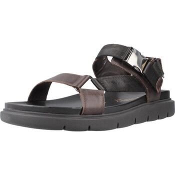 Stonefly Sandalias Hydra 8 para hombre