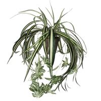 planta artificial chlorophytum verde  h45xb45xl45cm