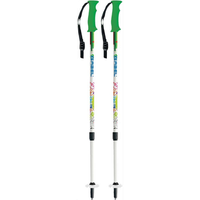 energy poles fl
