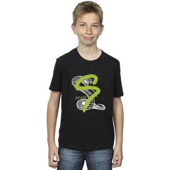 Harry Potter Tops y Camisetas Slytherin para niño