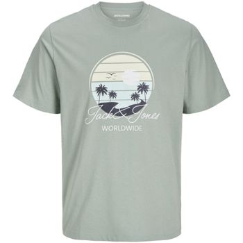 Jack & Jones Polo 12276250 JJPALM TEE SS CREW NECK MNI ICEBERG GREEN para hombre