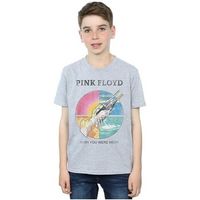 pink floyd tops y camisetas wish you were here para nino