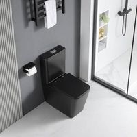 inodoro ceramica bragado cisterna baja negro mate