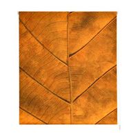 estoralis - estor enrollable translucido  estampado flores  150 x 180 cm anchoalto tamano tela 147 x 175 cm  f-1555 unico