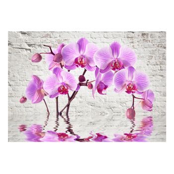 Papel Pintado 3d - Purple Delight (150x105 Cm)