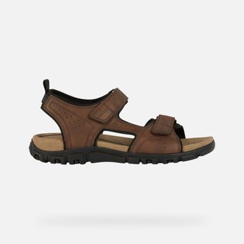 GEOX Strada Hombre Marrón Oscuro