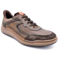 fluchos zapatos mujer f2253 marron para mujer