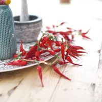dried chilli pepper fairy lights