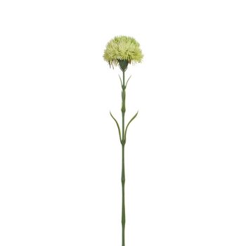 Tallo de cardo artificial verde limón h60