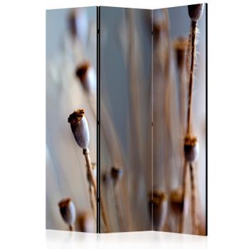 Biombo - Poppy Heads (135x172 Cm)