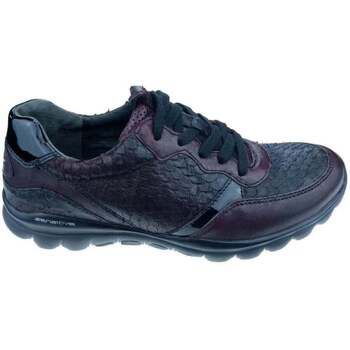 Gabor Deportivas Moda 36.968.13 para mujer