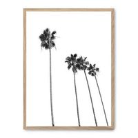 cuadro palm tree line up ii