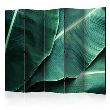 Biombo - Banana Leaf Ii (225x172 Cm)