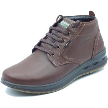 Grisport Botines 43015A4G Castagno para hombre