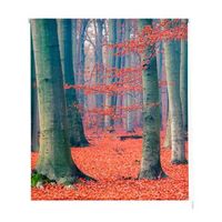estoralis - estor enrollable translucido  estampado paisajes  150 x 180 cm anchoalto tamano tela 147 x 175 cm  p-3075 unico