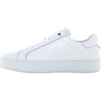 exton botines 83 para hombre