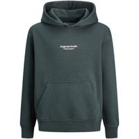 jack  jones jersey 12256770 jorvesterbro sweat hood noos mni forest river para nino