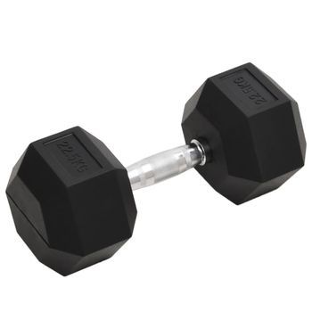 Mancuerna Hierro Fundido 22,5 Kg Vidaxl