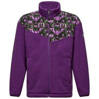 salewa polar eagle anniversary para mujer