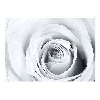 Papel Pintado 3d - Charada Rosa (300x210 Cm)