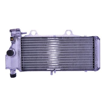 Refrigerador motor BMW F 650 '00-'08 agua