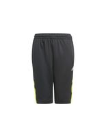 pantalones de trainning adidas predator inspired