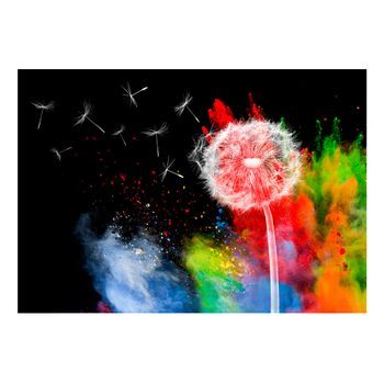 Papel Pintado 3d - Colourful Element (350x245 Cm)